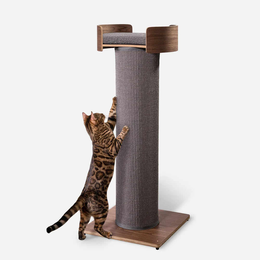 Giant Scratching Tower